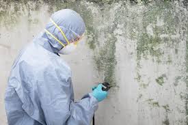 Professional Mold Inspection in Cottage Grove, WI